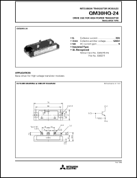 QM30HQ-24 Datasheet