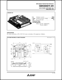 QM300DY-2H Datasheet