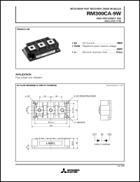 RM300CA-9W Datasheet