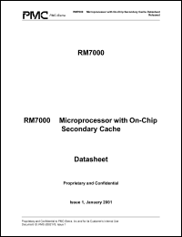 RM7000-300T Datasheet