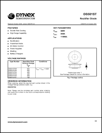 DS501ST01 Datasheet