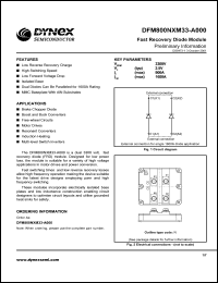 DFM800NXM33-A000 Datasheet