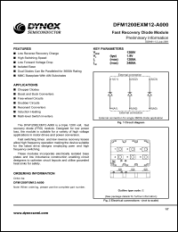 DFM1200EXM12-A000 Datasheet