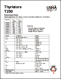 T250-08 Datasheet