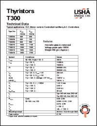 T300-04 Datasheet