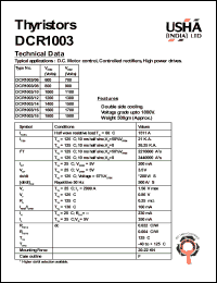 DCR1003-10 Datasheet