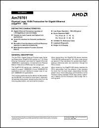 AM79761YC-10 Datasheet