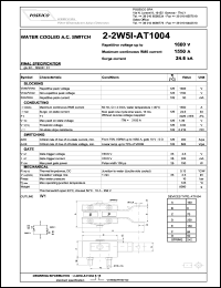 2-2W5I-AT1004S16 Datasheet
