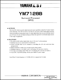 YM7128B Datasheet