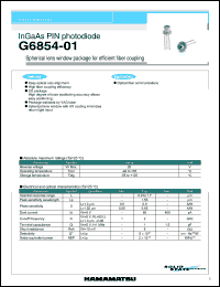 G6854-01 Datasheet