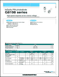 G8198-01 Datasheet