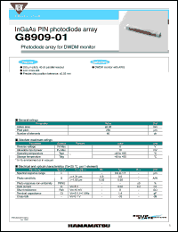 G8909-01 Datasheet
