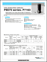 P8079-11 Datasheet