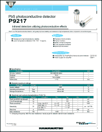 P9217 Datasheet