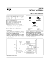 VN750S Datasheet
