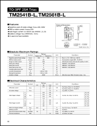 TM2541B-L Datasheet
